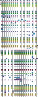 Understanding the Evolution of Mitochondrial Genomes in the Green Macroalgal Genus Ulva (Ulvophyceae, Chlorophyta)